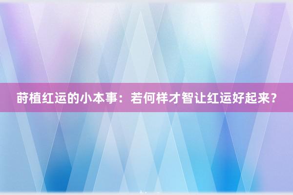 莳植红运的小本事：若何样才智让红运好起来？