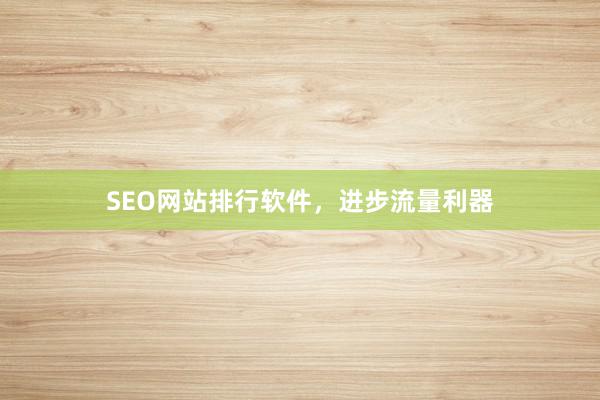 SEO网站排行软件，进步流量利器